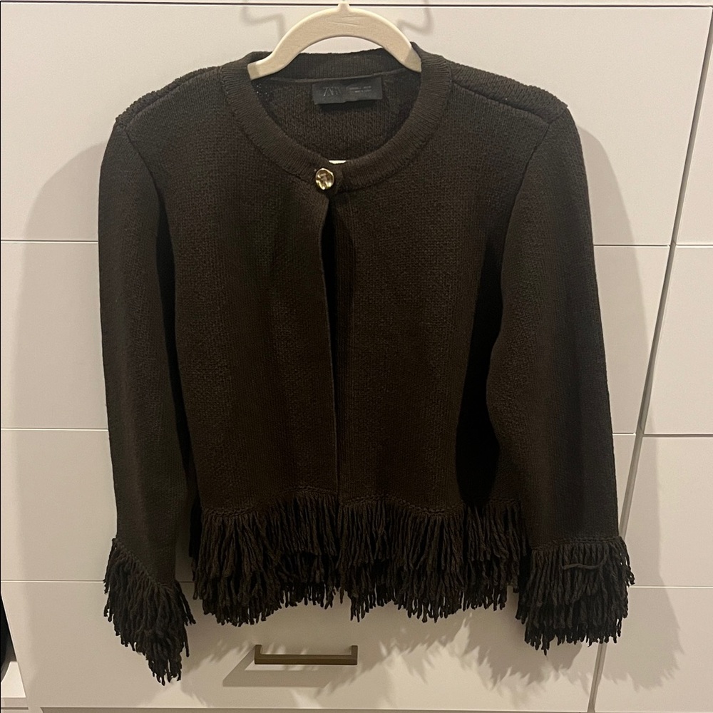 Zara Brown Fringe Sweater